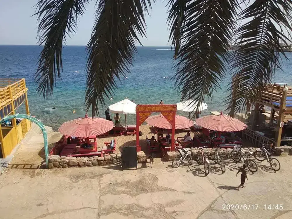 Foto 9 1000w