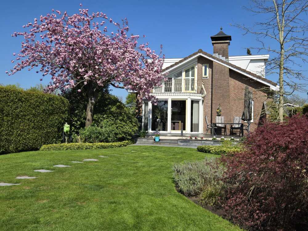 Foto 1 1000w