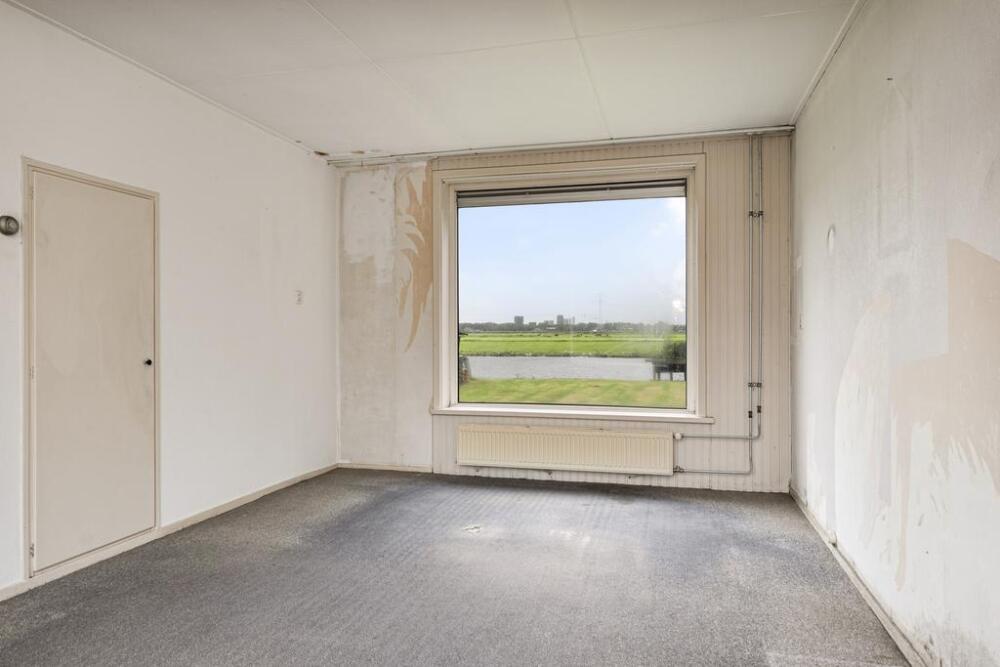 Foto 8 1000w