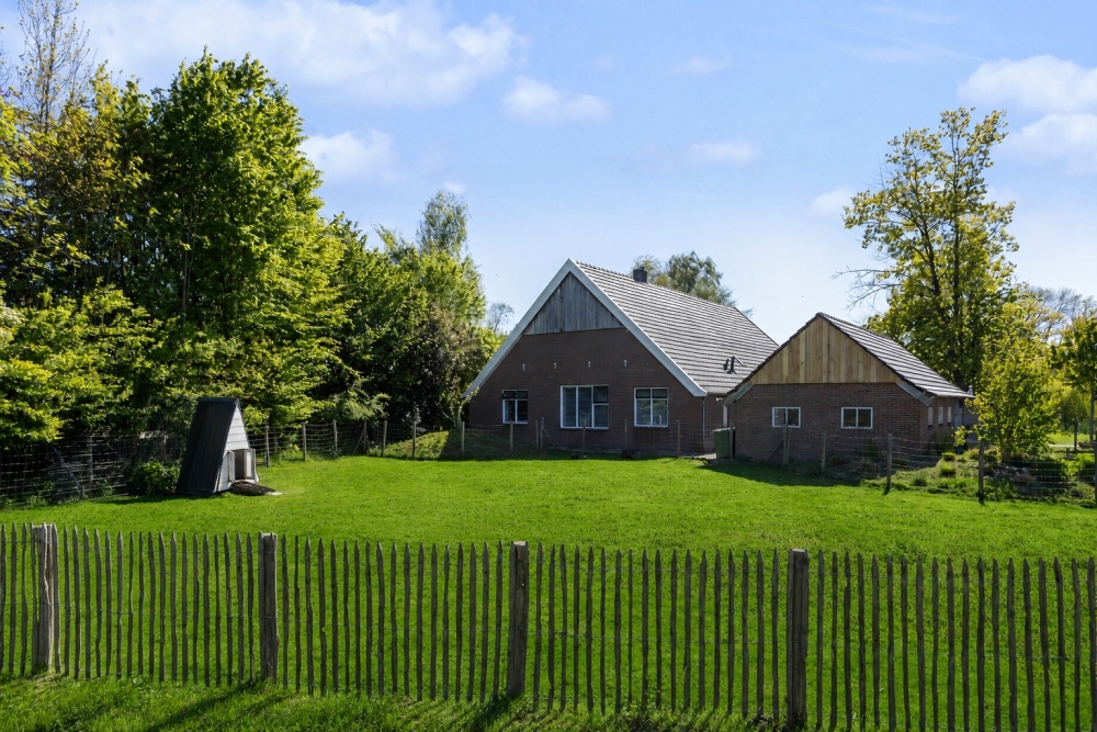 Foto 51 1000w