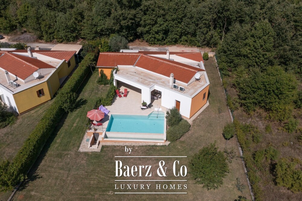 Foto 11 1000w