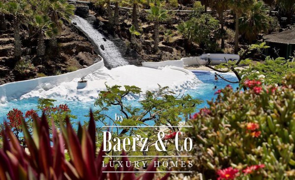 photo 12 Private oasis in the south of Tenerife