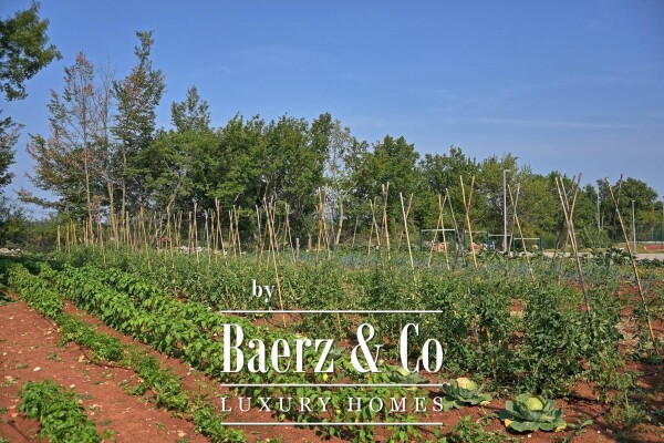 photo 26 Istria, Kanfanar, stone villa with swimming pool and sports fields