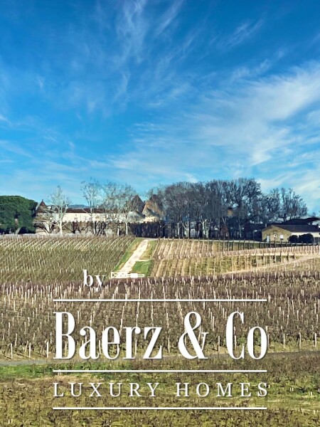 photo 7 WINE CHATEAU, BORDEAUX, SAUTERNES, UNIQUE PANORAMIC VIEW