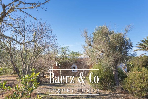 photo 8 Beautiful luxury home in San Mateo, San Mateo