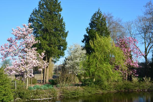 photo 66 Lange Meentweg 4