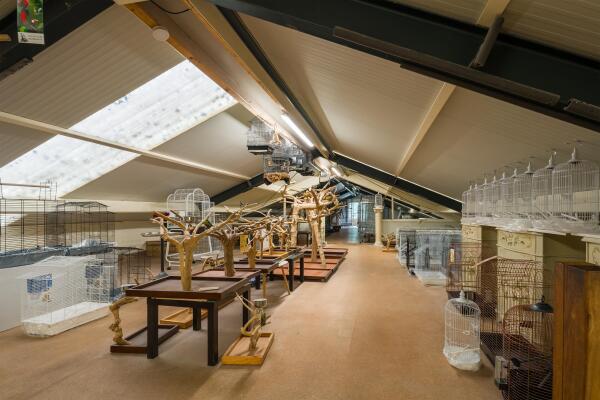 photo 65 Den Ilp 108