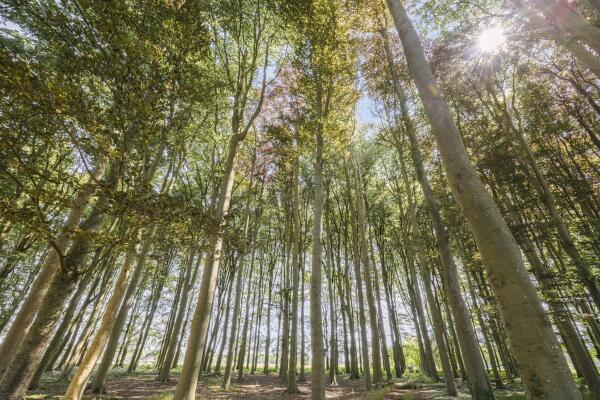 photo 67 Lage Lochemseweg 31 a