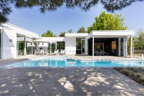 photo 16 Waterlelie 15