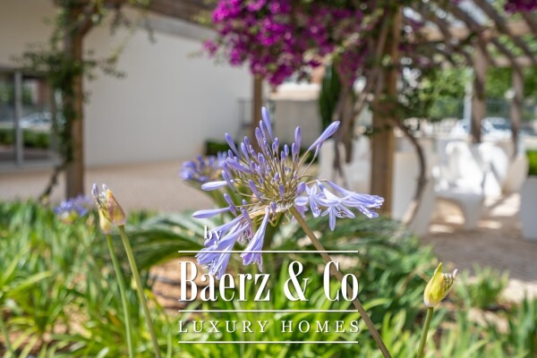 photo 40 R. Joaquim Magalhães 