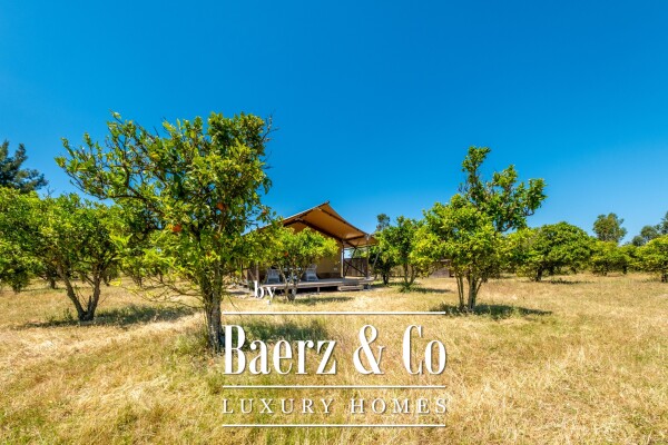 photo 31 Equestrian Property