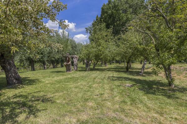 photo 4 Schaardijk 482 K001