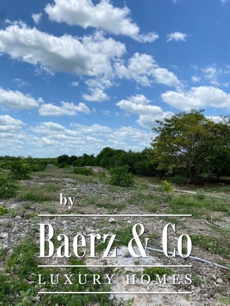 photo 20 Street 24 x 29 