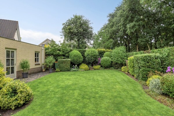 photo 41 Bilzekruid 11