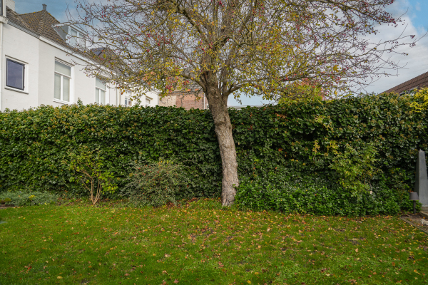 photo 47 Kalkhaven 23