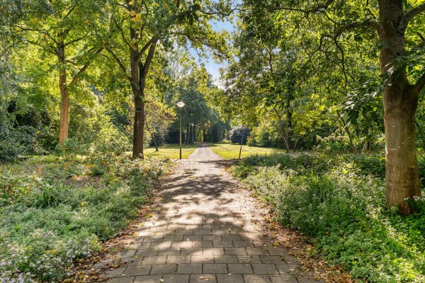 photo 29 Texelstraat 132