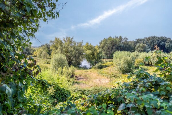 photo 52 Utrechtsestraatweg 31