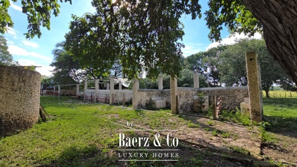 photo 42 Tablaje 3710 Rancho San Roman y Tablaje 1939 Rancho San Jose 