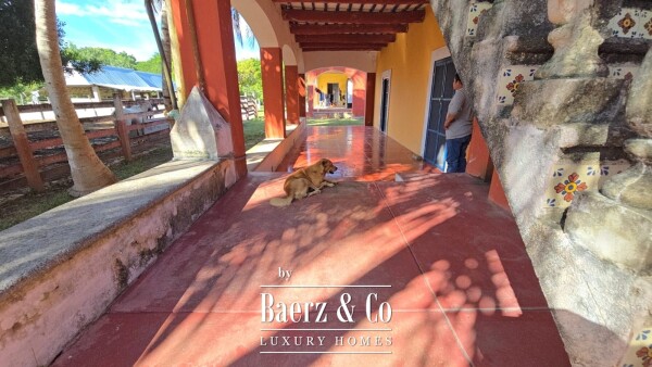 photo 65 Tablaje 3710 Rancho San Roman y Tablaje 1939 Rancho San Jose 