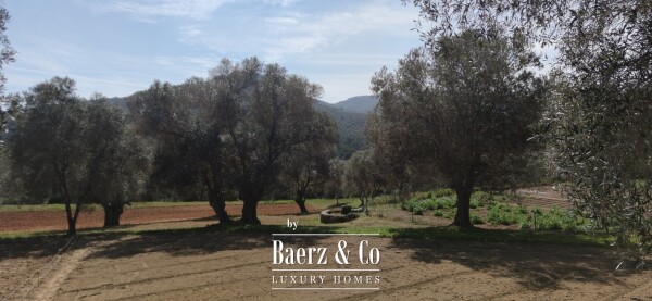 photo 28 Catalan-Style Country Estate – A Unique Historic Gem for sale