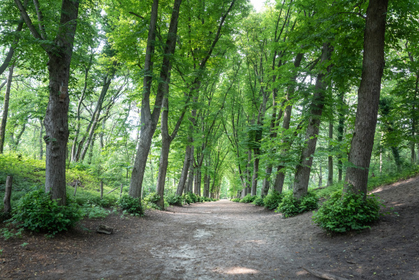 photo 62 Heemsteedse Dreef 271