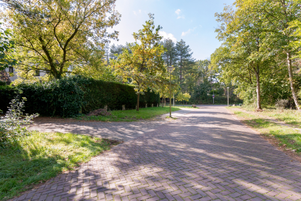 photo 59 Meijendelseweg 10