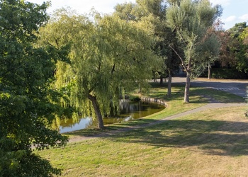BUSSUM